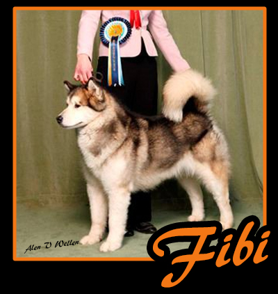 Fibi