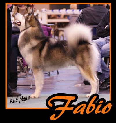 Fabio